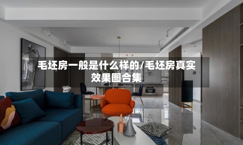 毛坯房一般是什么样的/毛坯房真实效果图合集-第1张图片