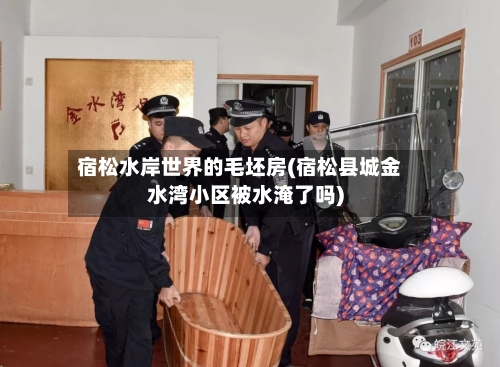 宿松水岸世界的毛坯房(宿松县城金水湾小区被水淹了吗)-第1张图片