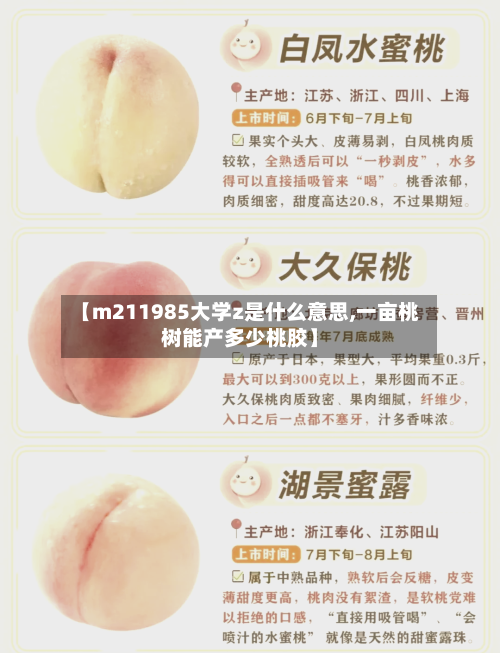 【m211985大学z是什么意思,一亩桃树能产多少桃胶】-第1张图片