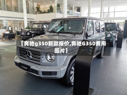 【奔驰g350新款报价,奔驰G350费用图片】-第1张图片