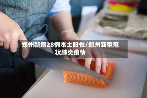 郑州新增28例本土阳性/郑州新型冠状肺炎疫情-第1张图片