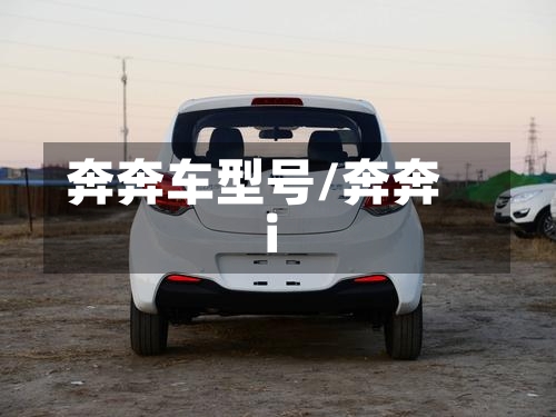 奔奔车型号/奔奔i-第1张图片