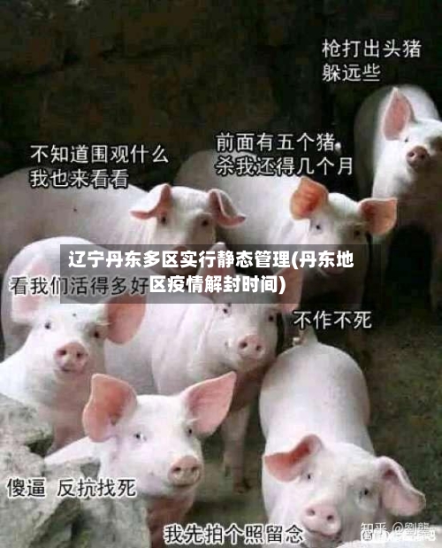 辽宁丹东多区实行静态管理(丹东地区疫情解封时间)-第1张图片