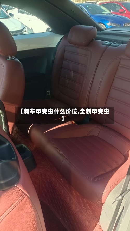 【新车甲壳虫什么价位,全新甲壳虫】-第1张图片