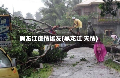 黑龙江疫情爆发(黑龙江 灾情)-第1张图片