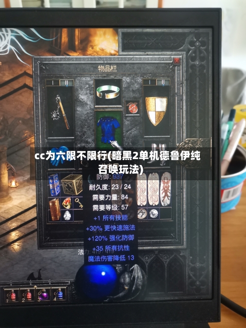 cc为六限不限行(暗黑2单机德鲁伊纯召唤玩法)-第1张图片