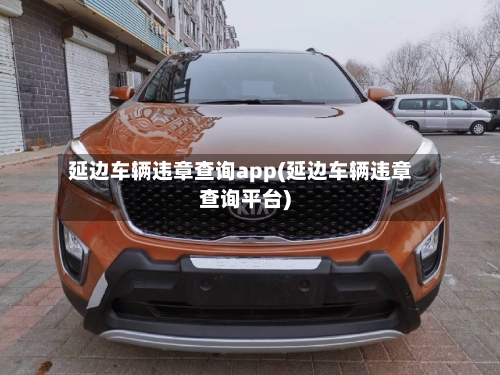 延边车辆违章查询app(延边车辆违章查询平台)-第2张图片