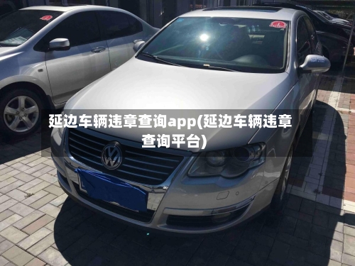 延边车辆违章查询app(延边车辆违章查询平台)