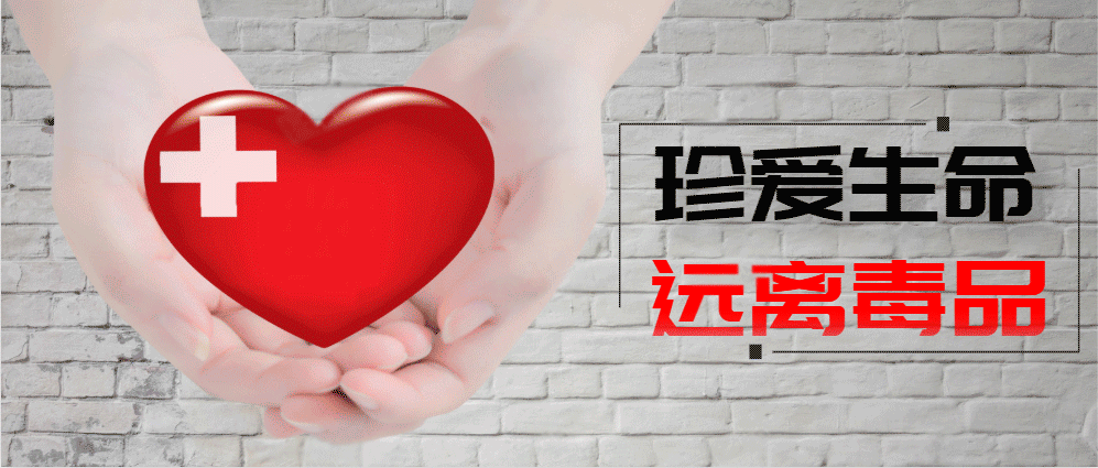新型冠状肺炎实时动态(新冠肺炎实时动态数据)