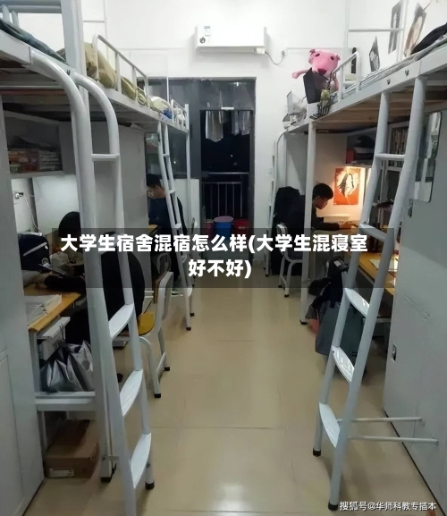 大学生宿舍混宿怎么样(大学生混寝室好不好)