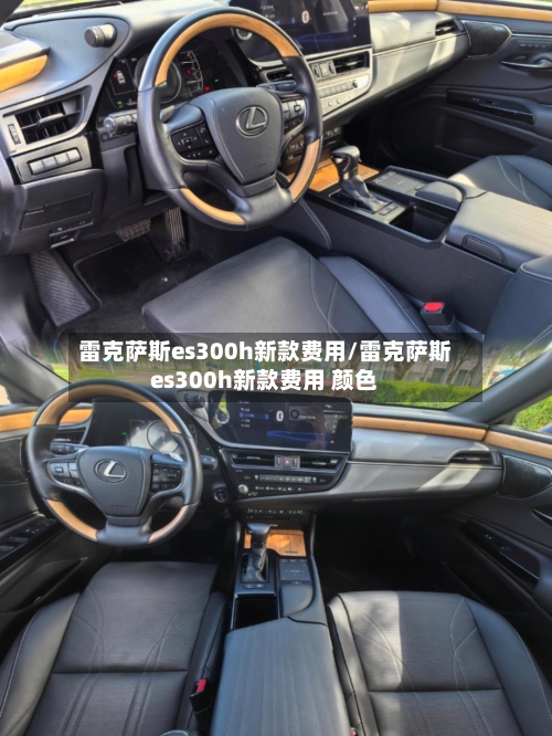 雷克萨斯es300h新款费用/雷克萨斯es300h新款费用 颜色-第1张图片
