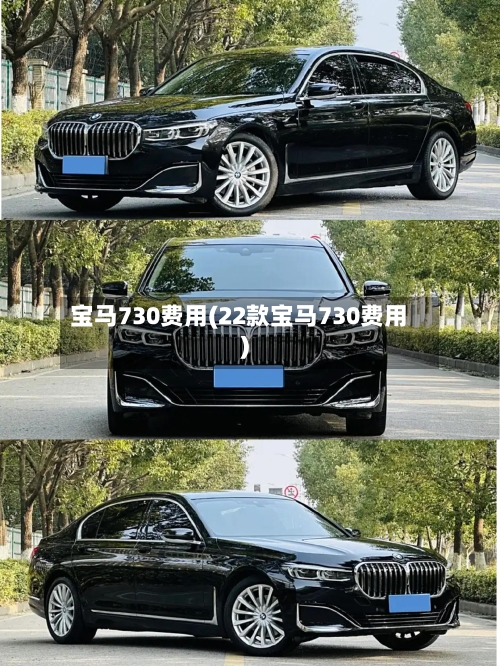 宝马730费用(22款宝马730费用)-第1张图片