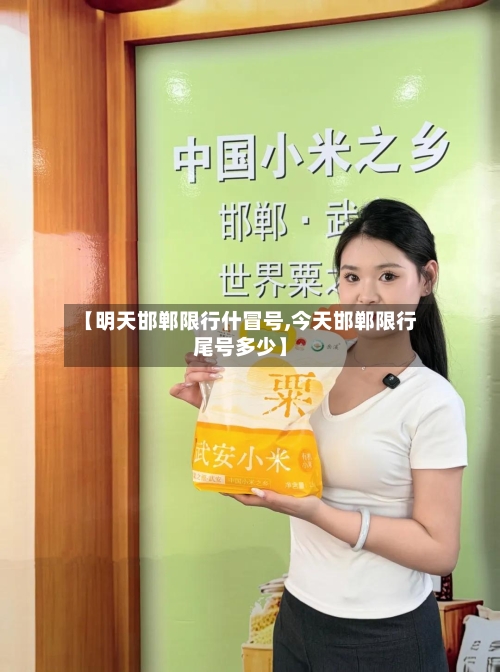 【明天邯郸限行什冒号,今天邯郸限行尾号多少】-第1张图片