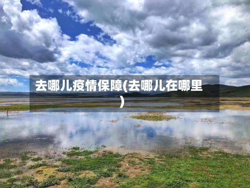 去哪儿疫情保障(去哪儿在哪里)-第2张图片