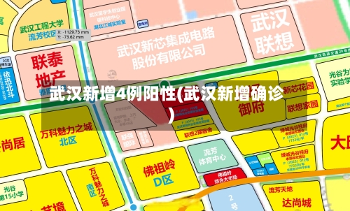 武汉新增4例阳性(武汉新增确诊)