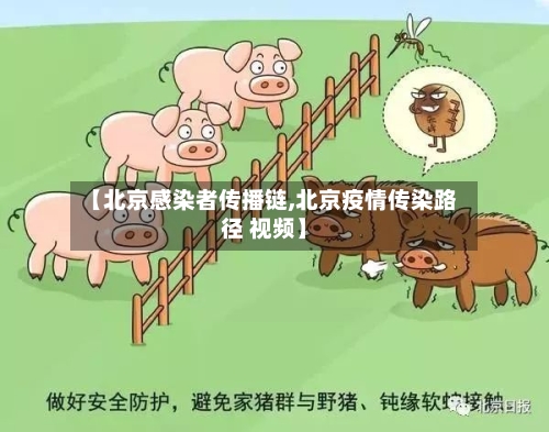 【北京感染者传播链,北京疫情传染路径 视频】-第1张图片