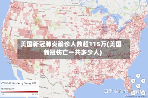 美国新冠肺炎确诊人数超115万(美国新冠伤亡一共多少人)-第3张图片