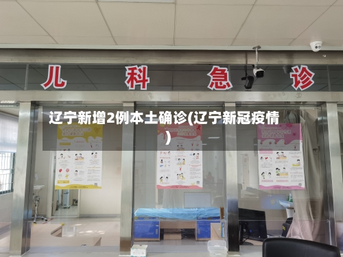 辽宁新增2例本土确诊(辽宁新冠疫情)-第3张图片