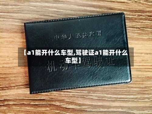 【a1能开什么车型,驾驶证a1能开什么车型】-第3张图片