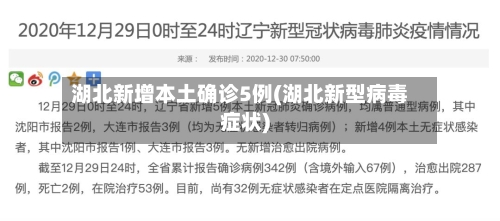 湖北新增本土确诊5例(湖北新型病毒症状)-第2张图片