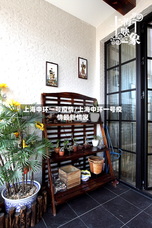上海中环一号疫情/上海中环一号疫情最新情况-第2张图片