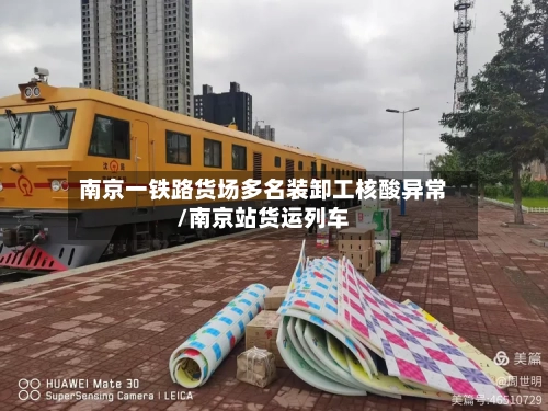 南京一铁路货场多名装卸工核酸异常/南京站货运列车-第2张图片
