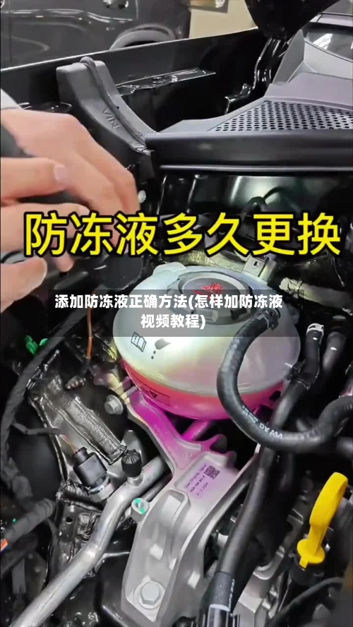 添加防冻液正确方法(怎样加防冻液视频教程)