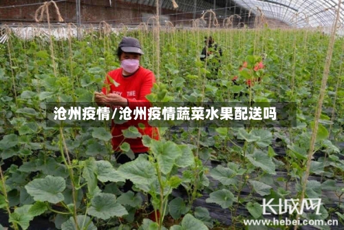 沧州疫情/沧州疫情蔬菜水果配送吗