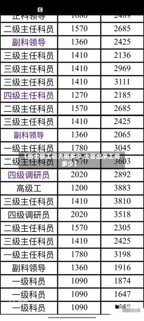 【当士官工资大概多少,士官出来工资多少】