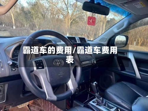 霸道车的费用/霸道车费用表