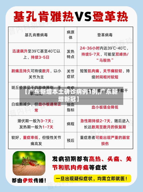 【广东新增本土确诊病例1例,广东新增新冠】