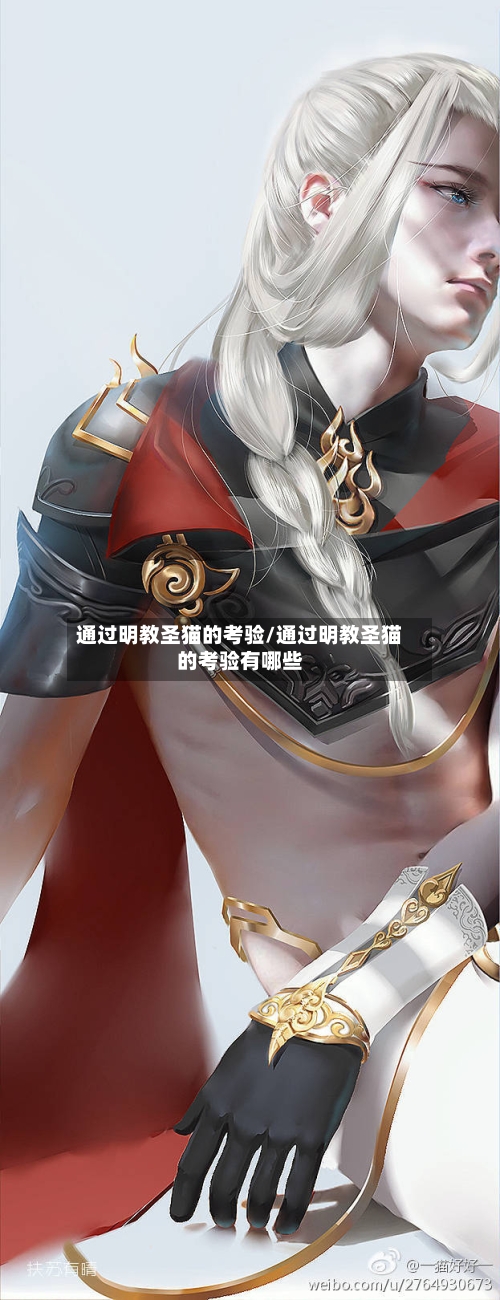 通过明教圣猫的考验/通过明教圣猫的考验有哪些