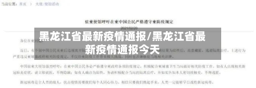 黑龙江省最新疫情通报/黑龙江省最新疫情通报今天-第3张图片