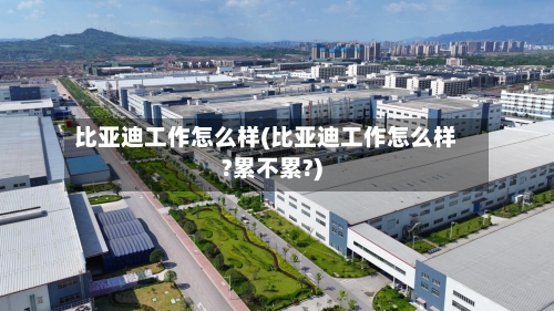 比亚迪工作怎么样(比亚迪工作怎么样?累不累?)-第3张图片