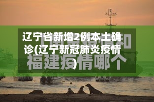 辽宁省新增2例本土确诊(辽宁新冠肺炎疫情)-第1张图片