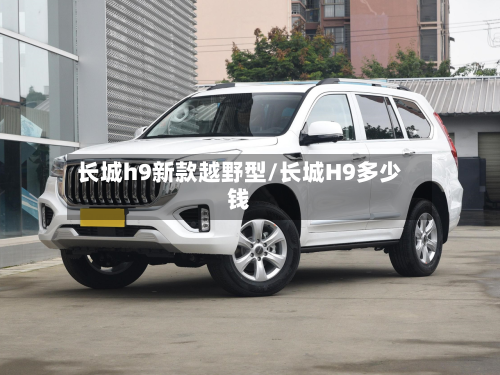 长城h9新款越野型/长城H9多少钱