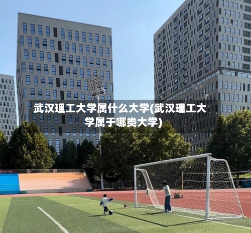 武汉理工大学属什么大学(武汉理工大学属于哪类大学)-第3张图片