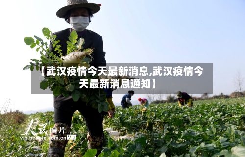 【武汉疫情今天最新消息,武汉疫情今天最新消息通知】-第2张图片