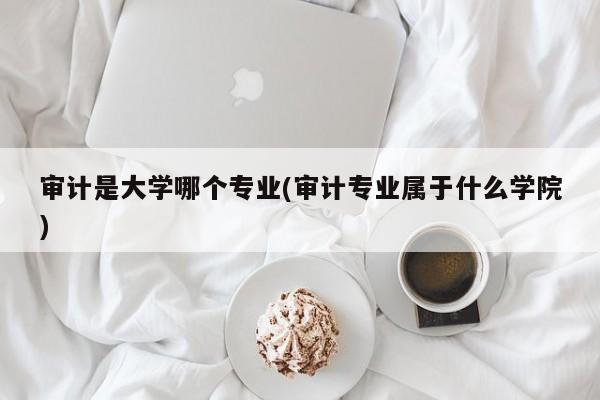 审计是大学哪个专业(审计专业属于什么学院)