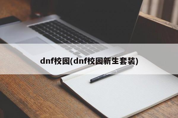 dnf校园(dnf校园新生套装)