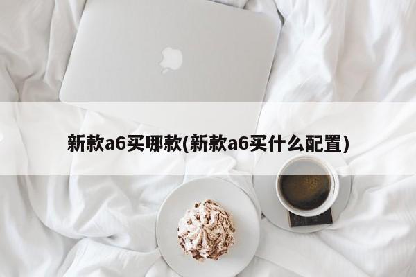 新款a6买哪款(新款a6买什么配置)