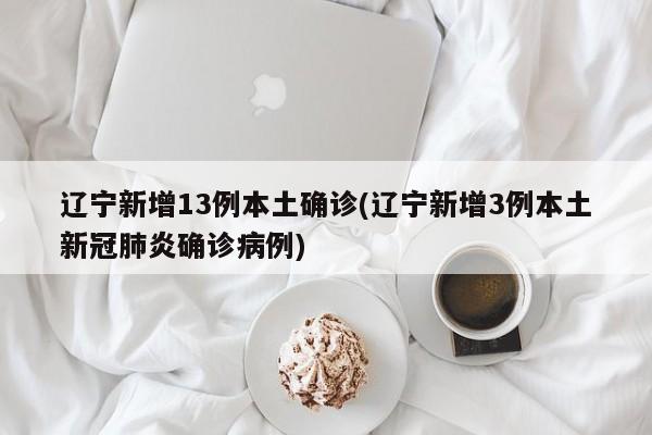 辽宁新增13例本土确诊(辽宁新增3例本土新冠肺炎确诊病例)