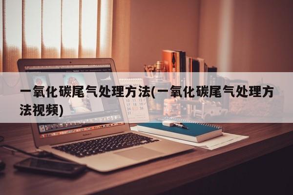 一氧化碳尾气处理方法(一氧化碳尾气处理方法视频)