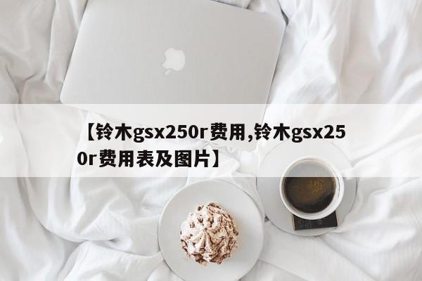 【铃木gsx250r费用,铃木gsx250r费用表及图片】