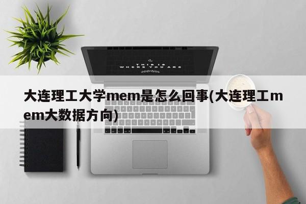 大连理工大学mem是怎么回事(大连理工mem大数据方向)