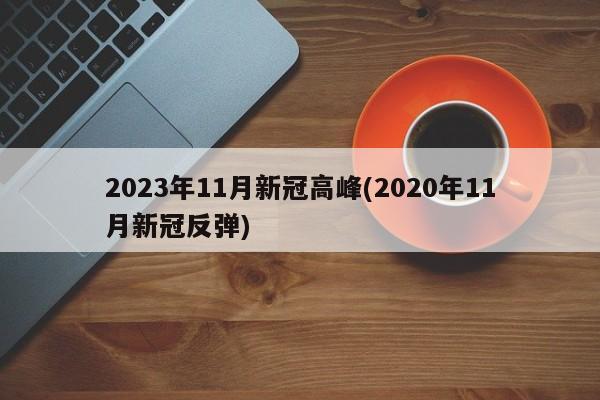 2023年11月新冠高峰(2020年11月新冠反弹)