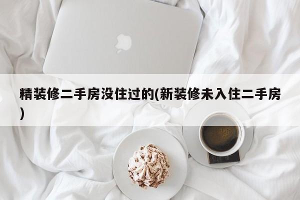 精装修二手房没住过的(新装修未入住二手房)