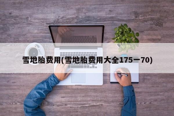 雪地胎费用(雪地胎费用大全175一70)