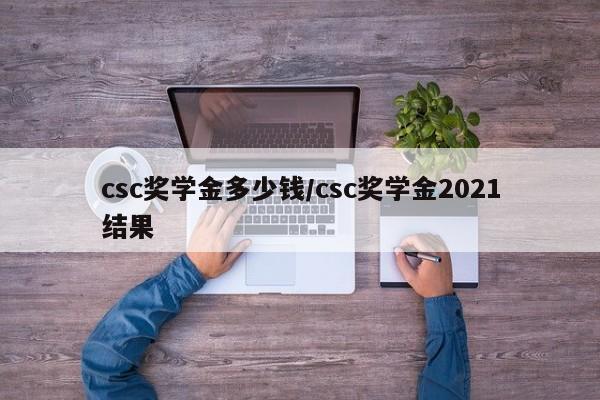 csc奖学金多少钱/csc奖学金2021结果