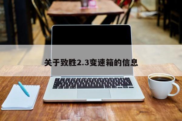 关于致胜2.3变速箱的信息